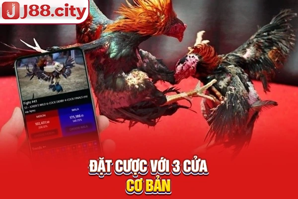 Đặt cược với 3 cửa cơ bản